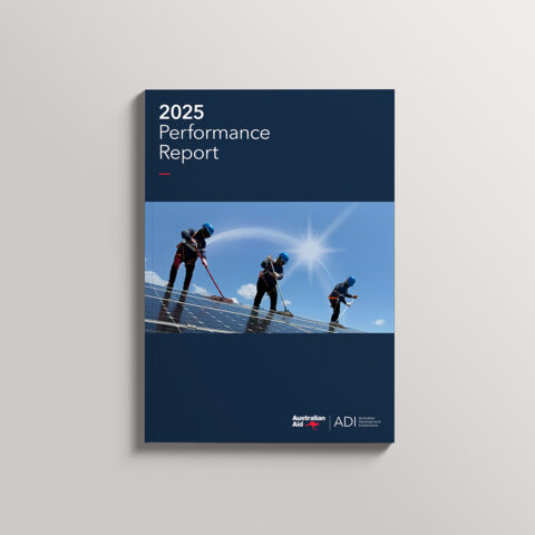 performance report 2025